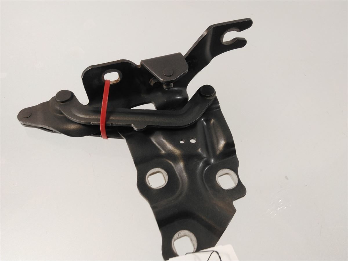 Panser Hengsel / Hengsler – bilde 1