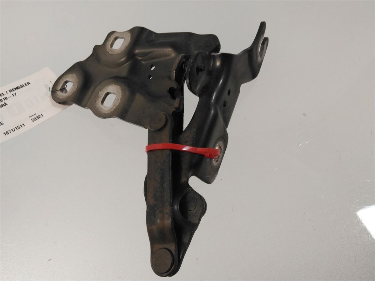 Panser Hengsel / Hengsler – bilde 2
