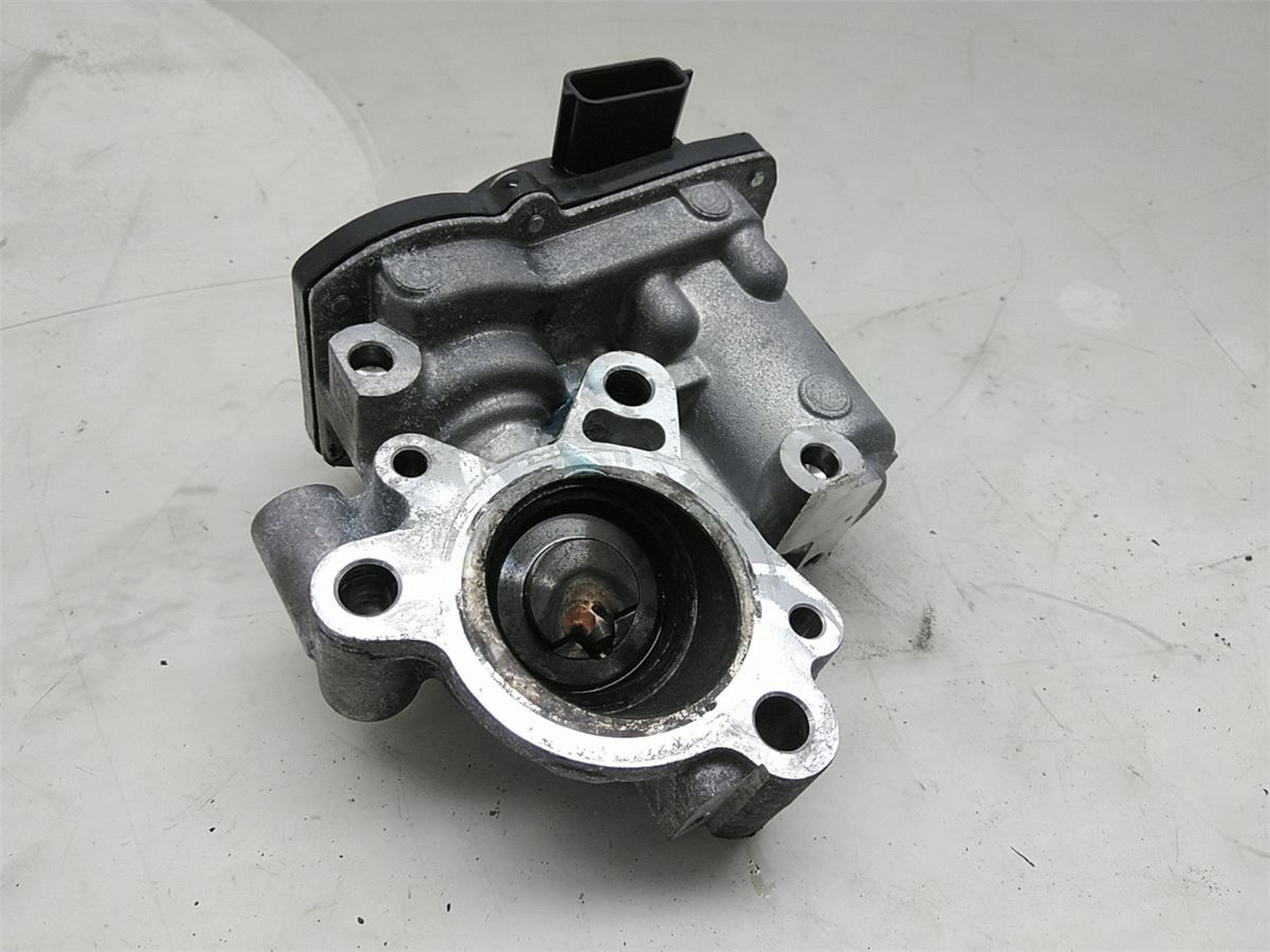 EGR Ventil – bilde 1