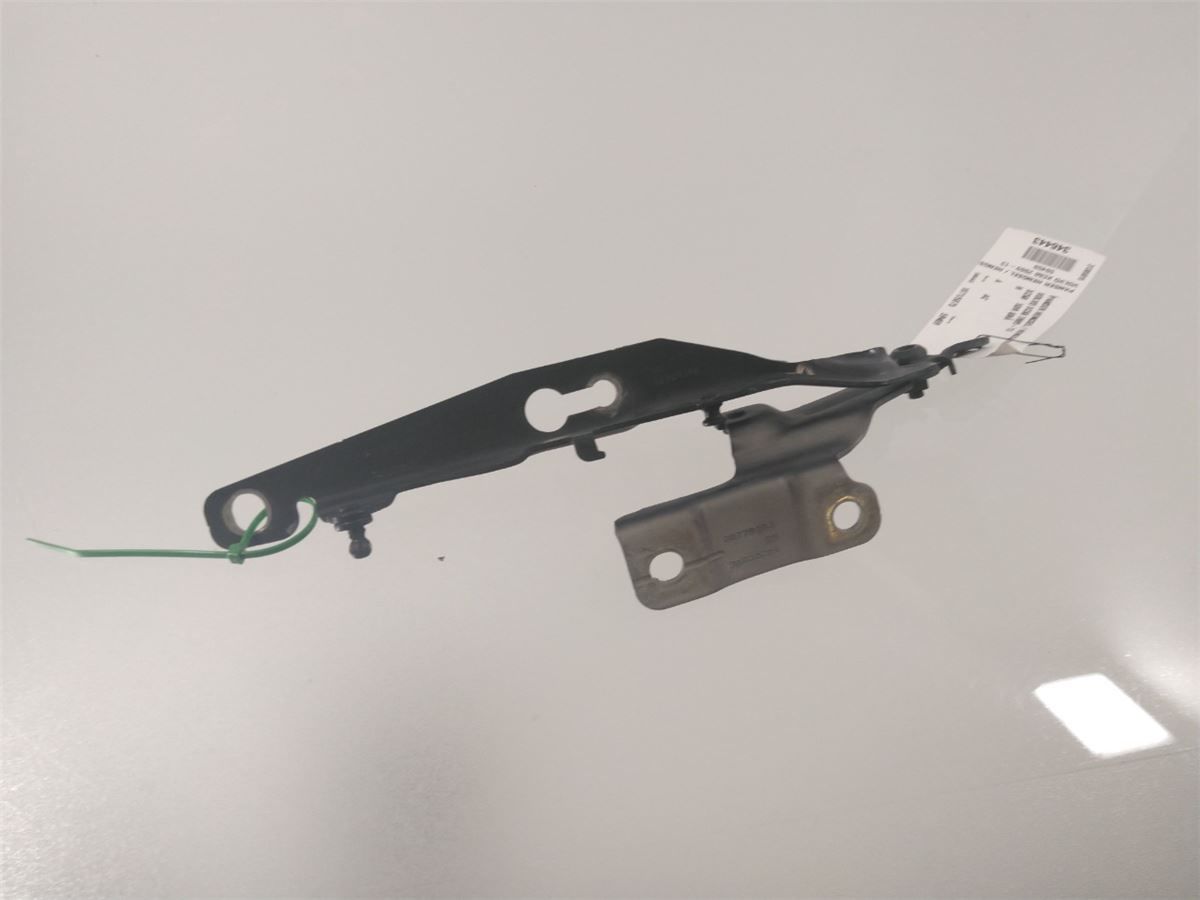 Panser Hengsel / Hengsler – bilde 1