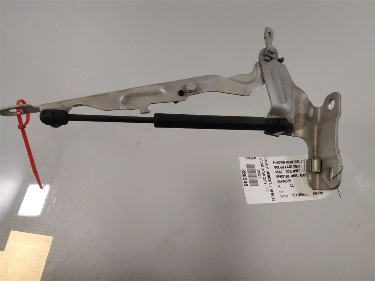 Panser Hengsel / Hengsler – bilde 1