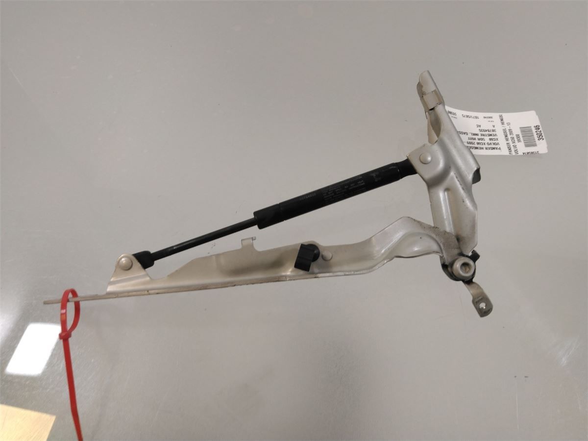 Panser Hengsel / Hengsler – bilde 2