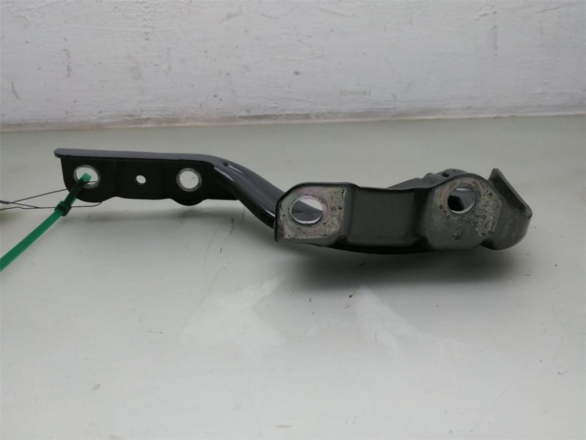 Panser Hengsel / Hengsler – bilde 1