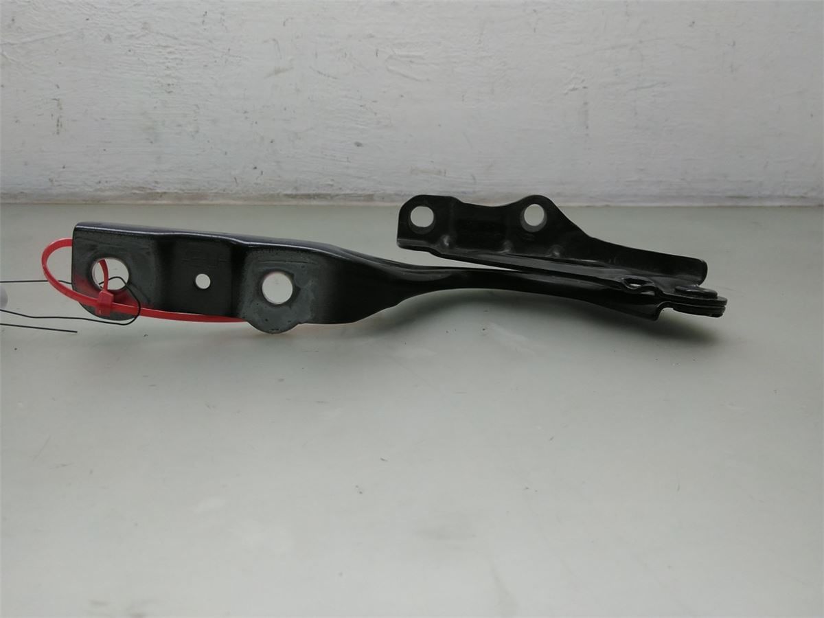 Panser Hengsel / Hengsler – bilde 2