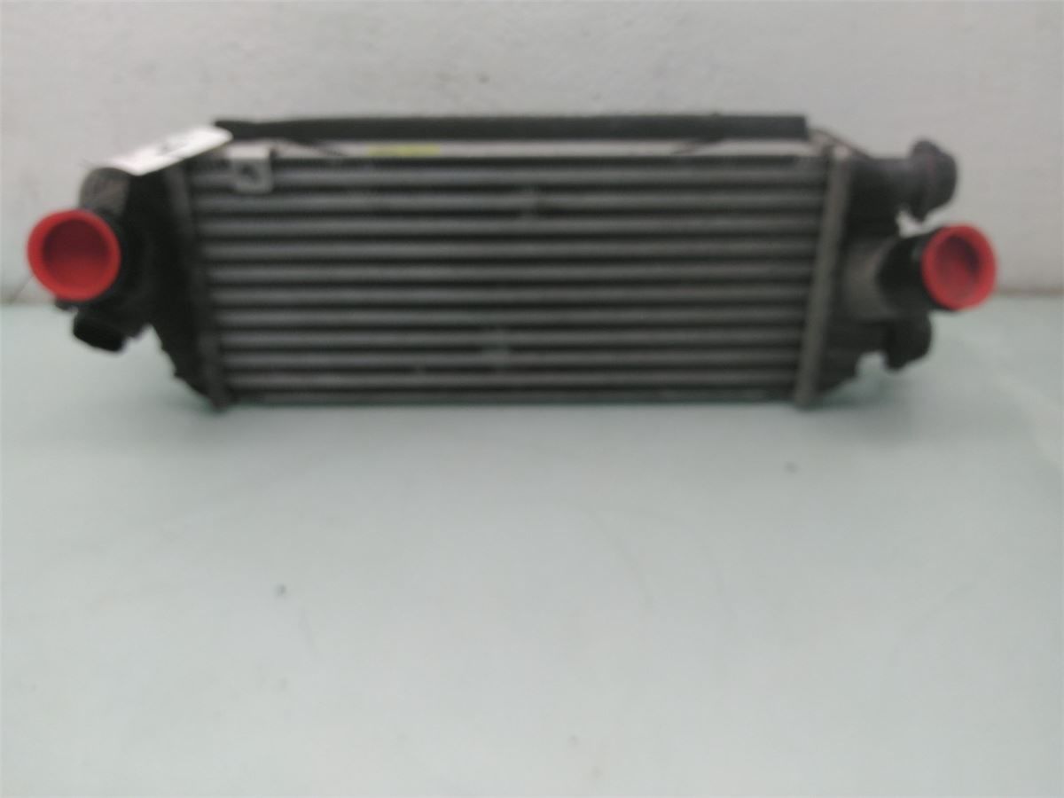 Intercooler Radiator – bilde 1