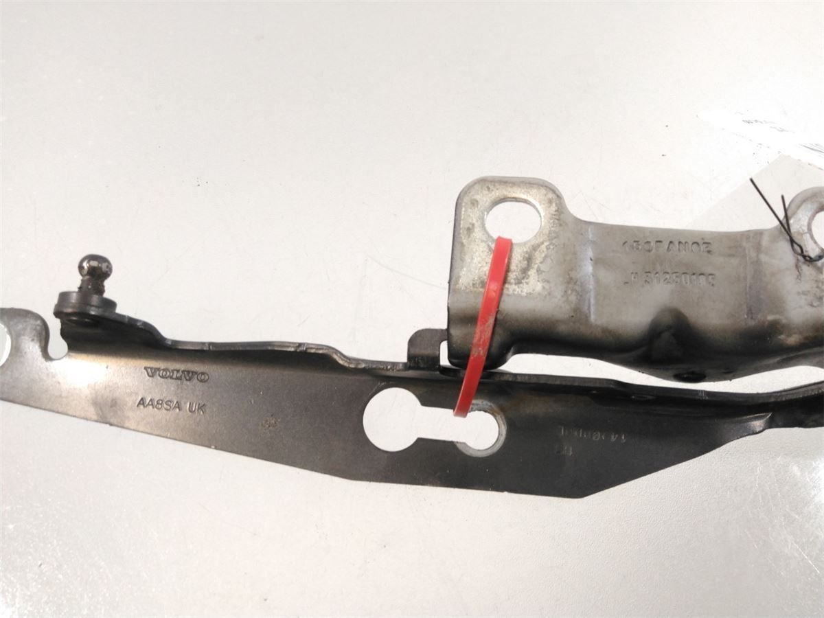 Panser Hengsel / Hengsler – bilde 2