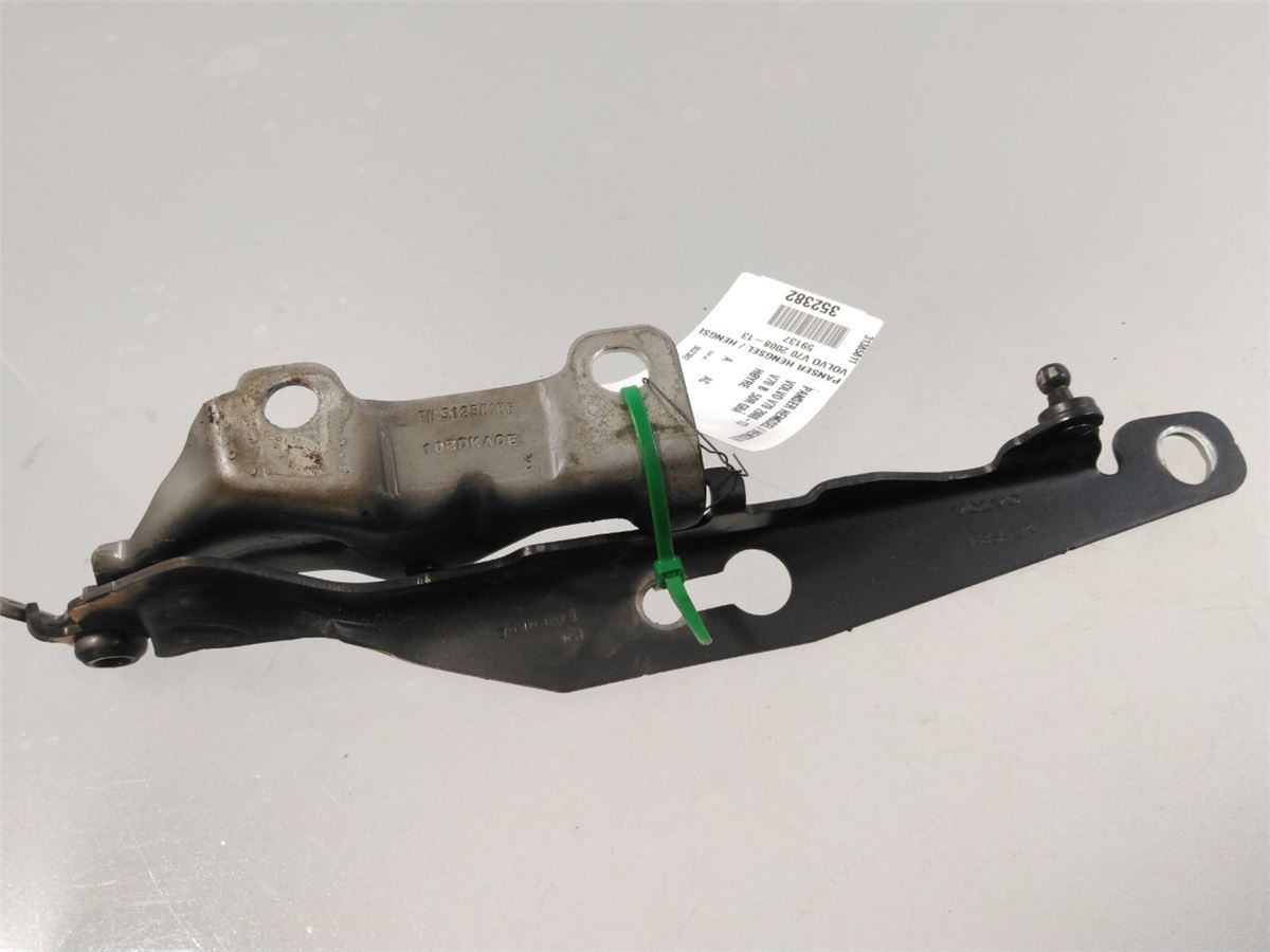 Panser Hengsel / Hengsler – bilde 1
