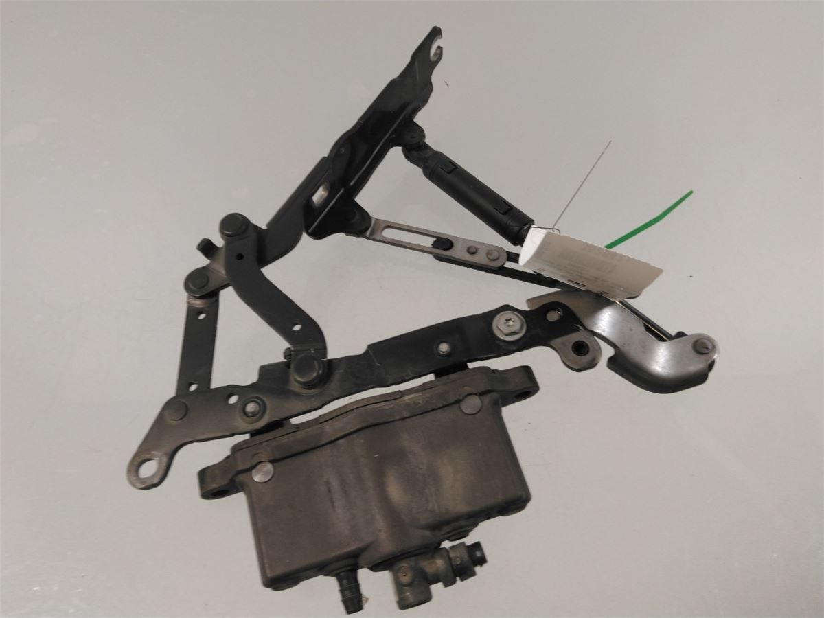 Panser Hengsel / Hengsler – bilde 2