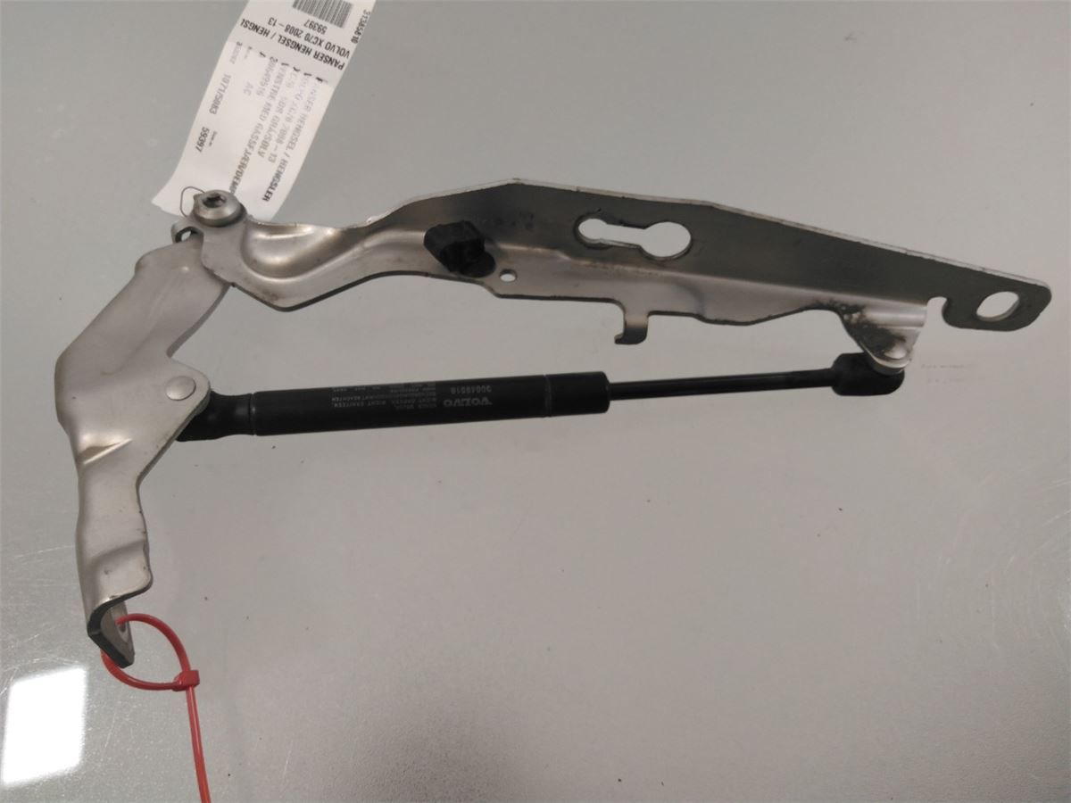 Panser Hengsel / Hengsler – bilde 1