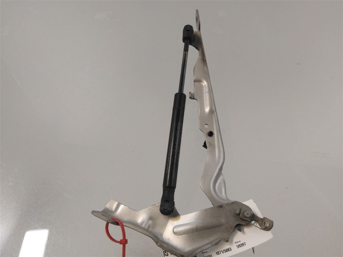 Panser Hengsel / Hengsler – bilde 2
