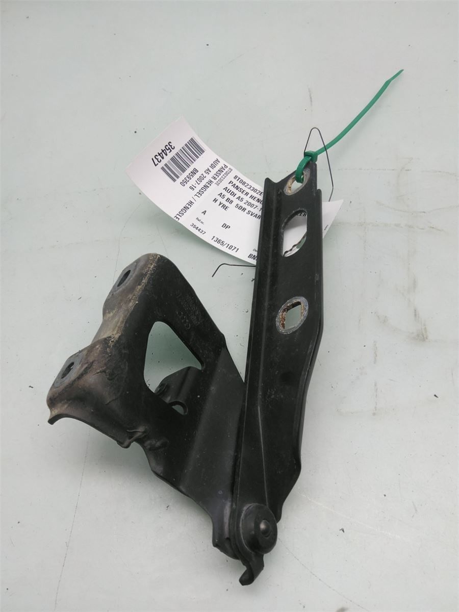 Panser Hengsel / Hengsler – bilde 1