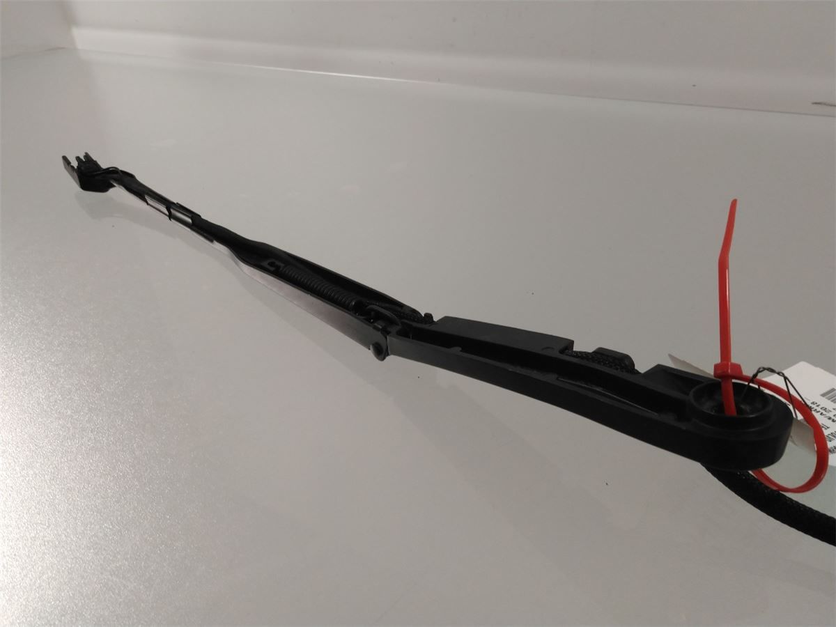 Viskerarm / Armer Frontrute – bilde 2