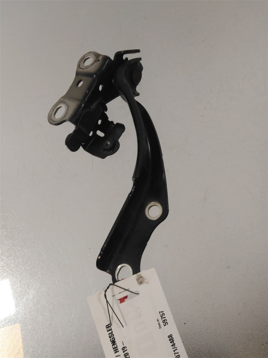 Panser Hengsel / Hengsler – bilde 1