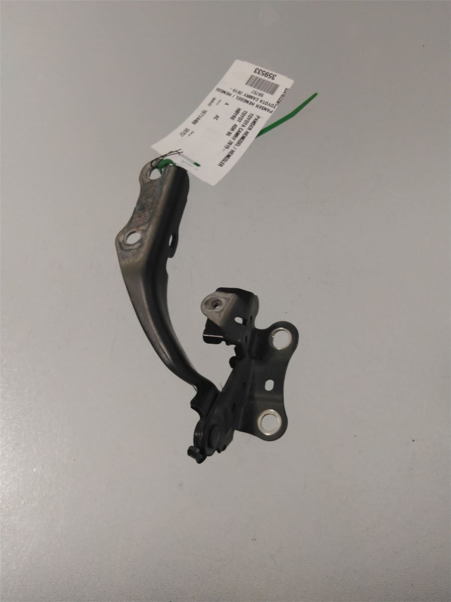 Panser Hengsel / Hengsler – bilde 1