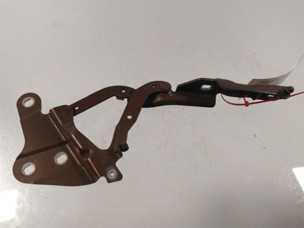Panser Hengsel / Hengsler – bilde 2