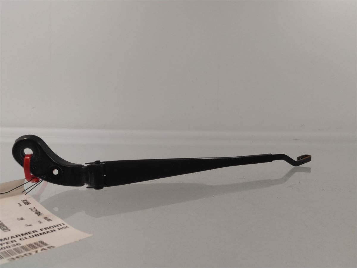 Viskerarm / Armer Frontrute – bilde 1
