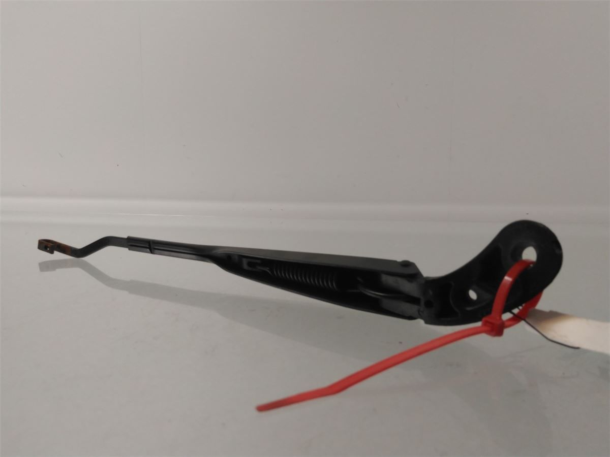 Viskerarm / Armer Frontrute – bilde 2