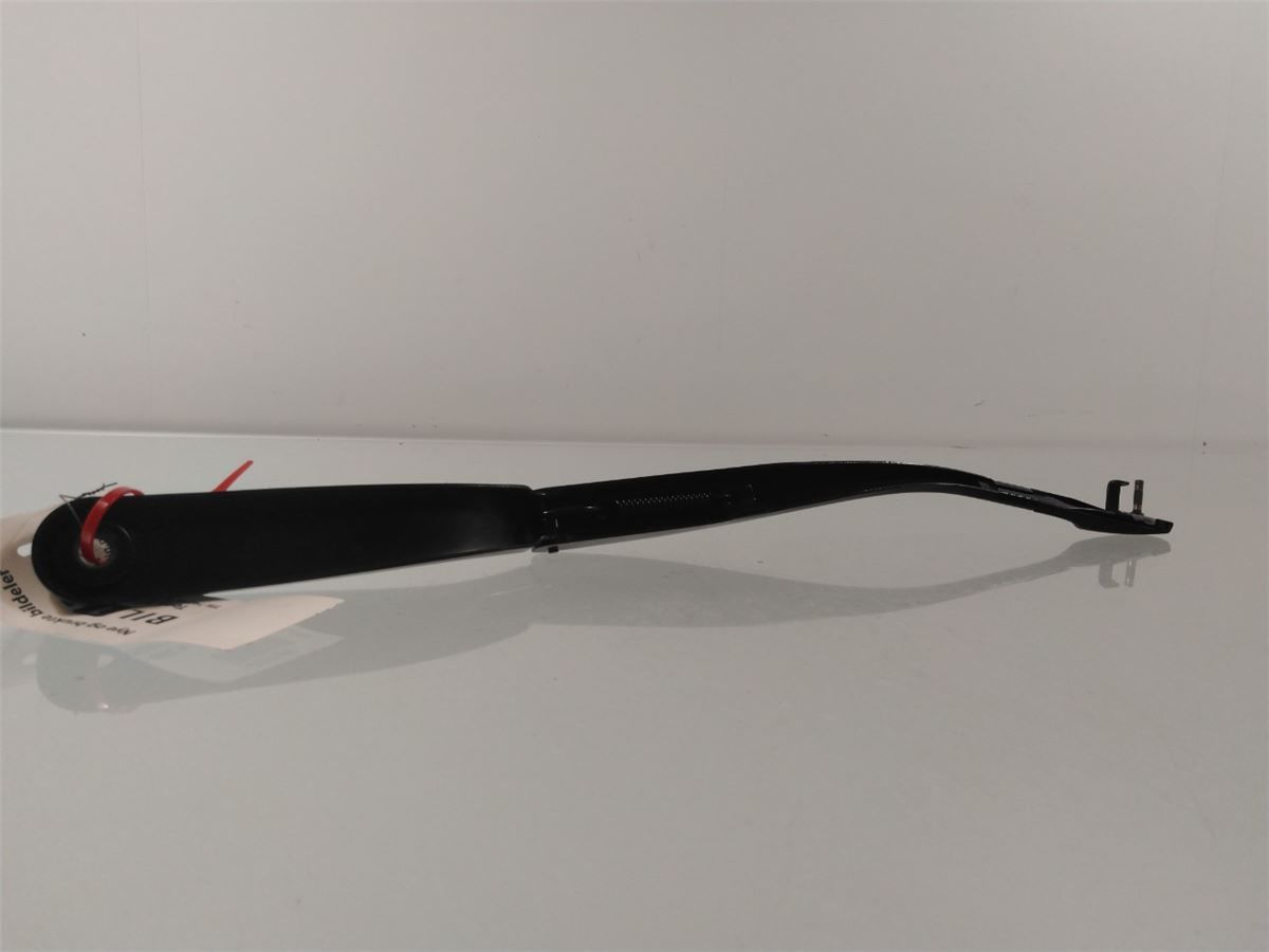 Viskerarm / Armer Frontrute – bilde 2