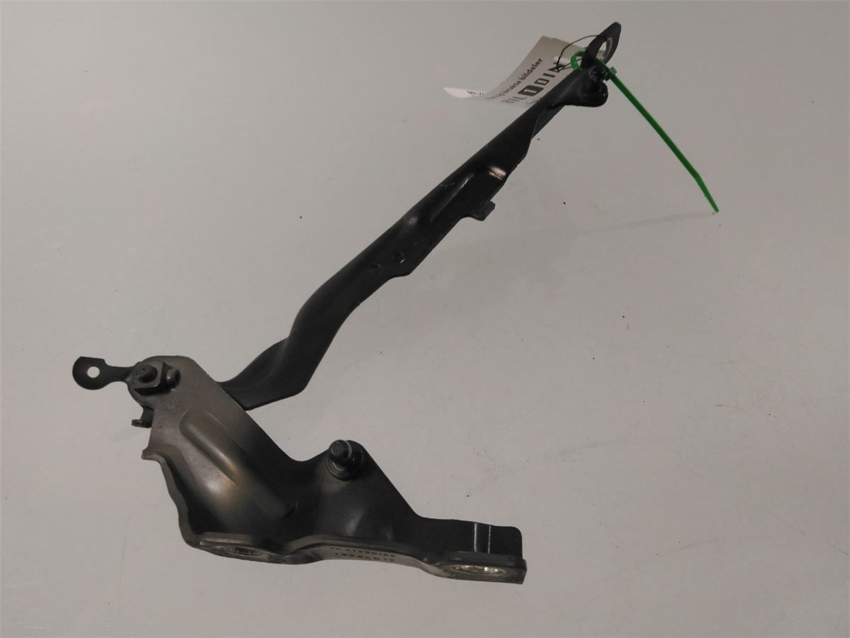 Panser Hengsel / Hengsler – bilde 1
