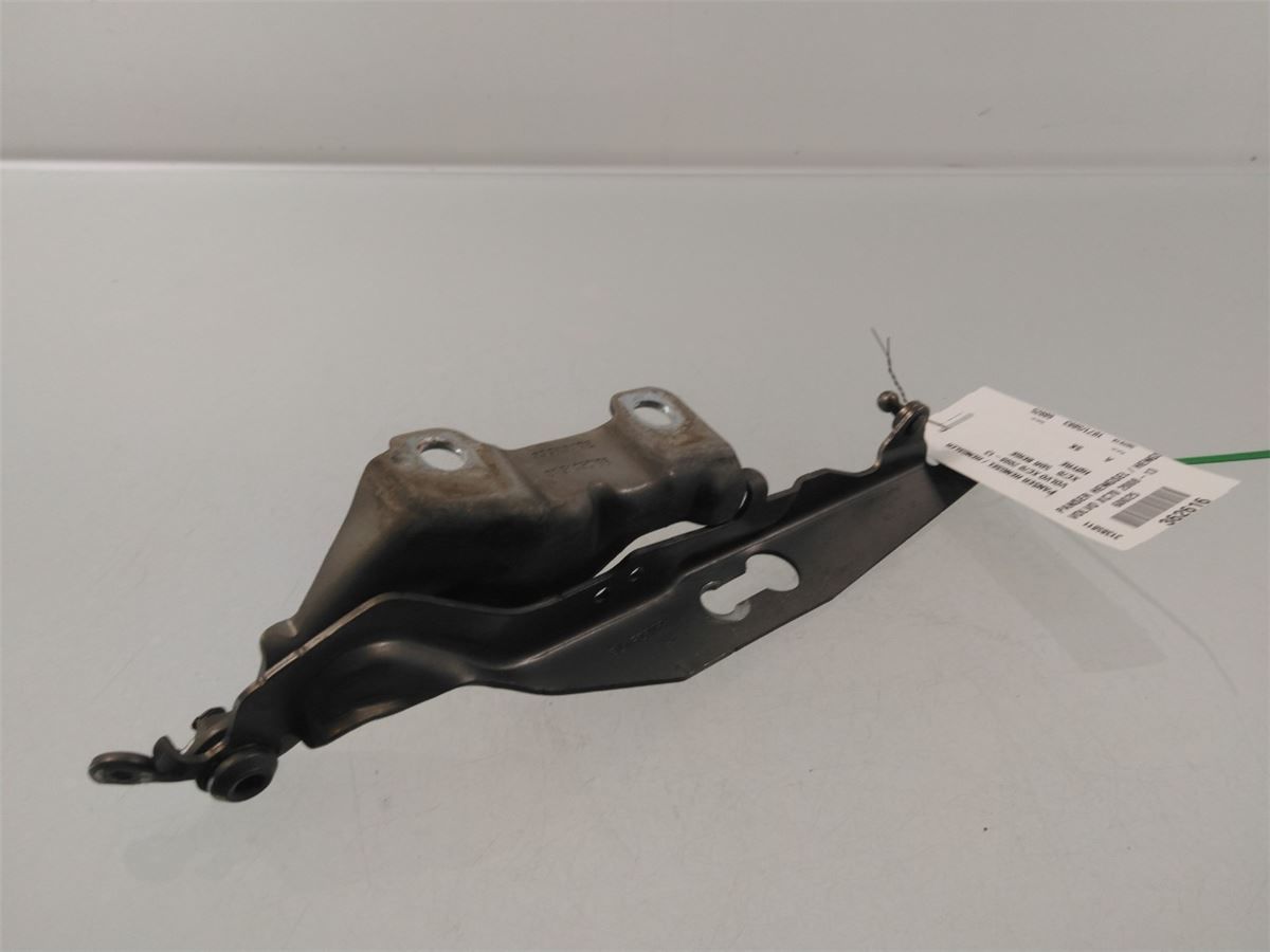 Panser Hengsel / Hengsler – bilde 4