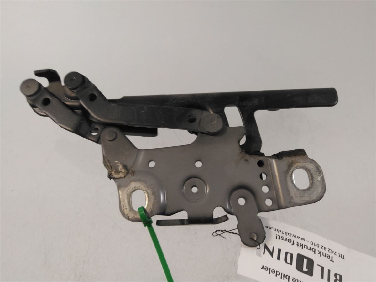 Panser Hengsel / Hengsler – bilde 2