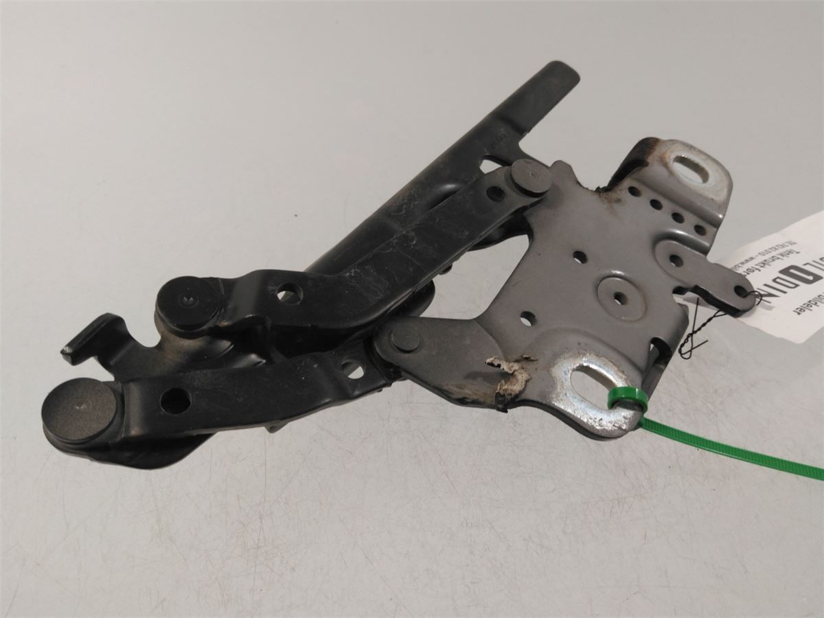 Panser Hengsel / Hengsler – bilde 3