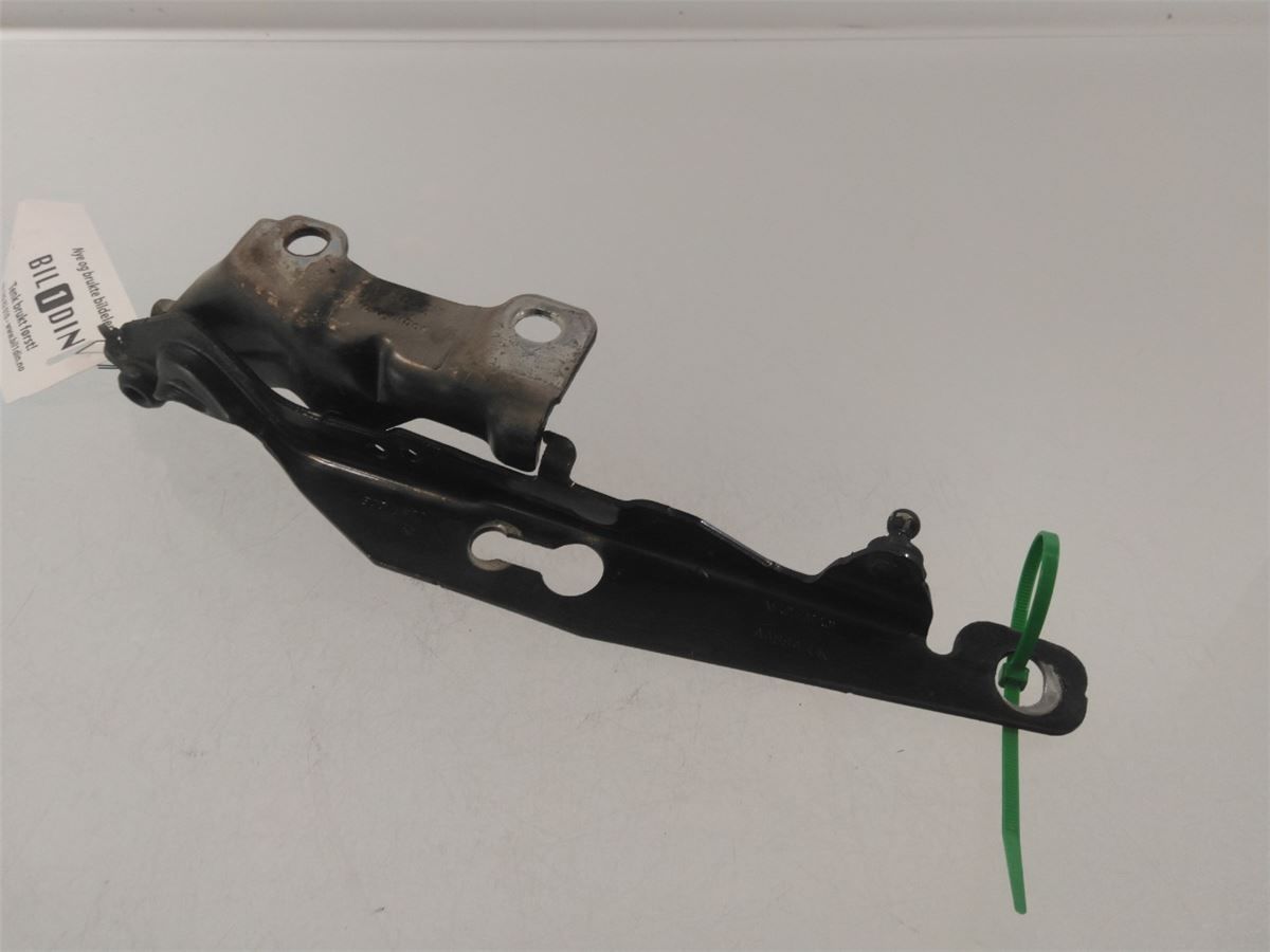 Panser Hengsel / Hengsler – bilde 1