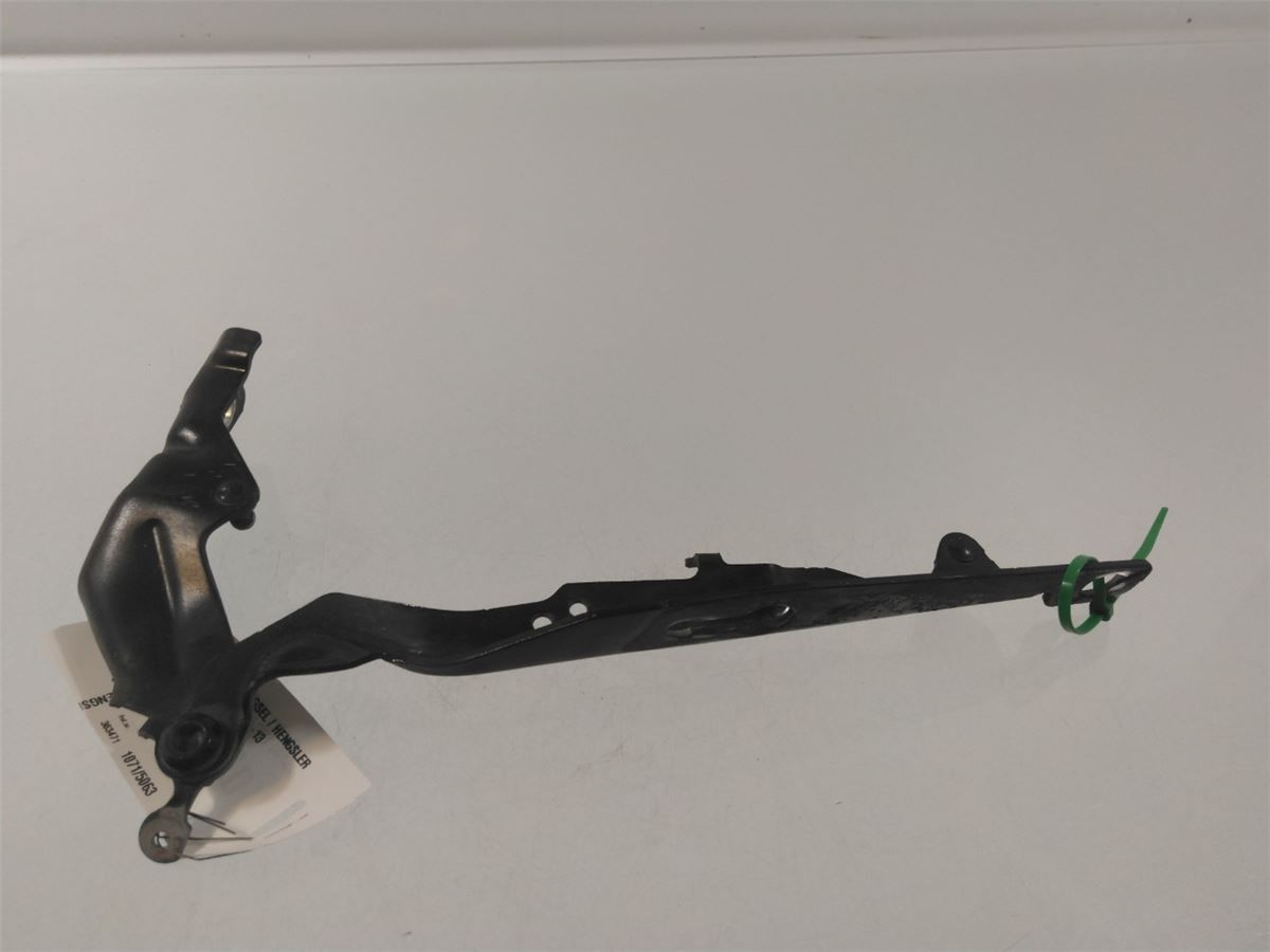 Panser Hengsel / Hengsler – bilde 3