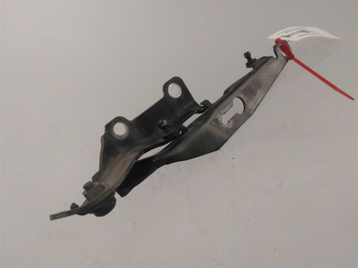 Panser Hengsel / Hengsler – bilde 1