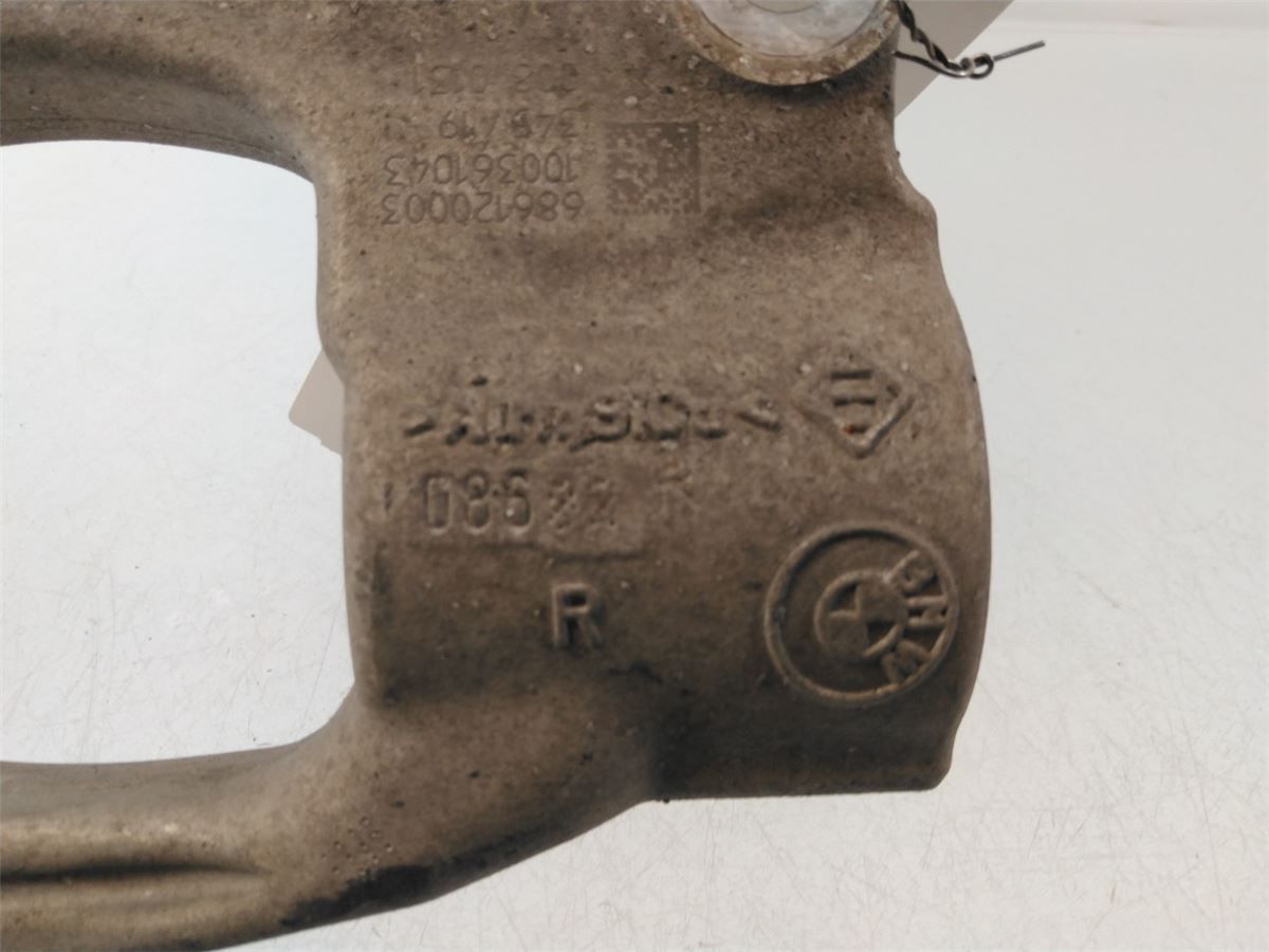 Fjærbein Foran Høyre – bilde 2