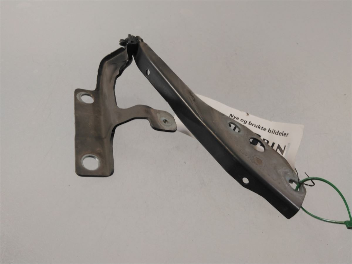 Panser Hengsel / Hengsler – bilde 1