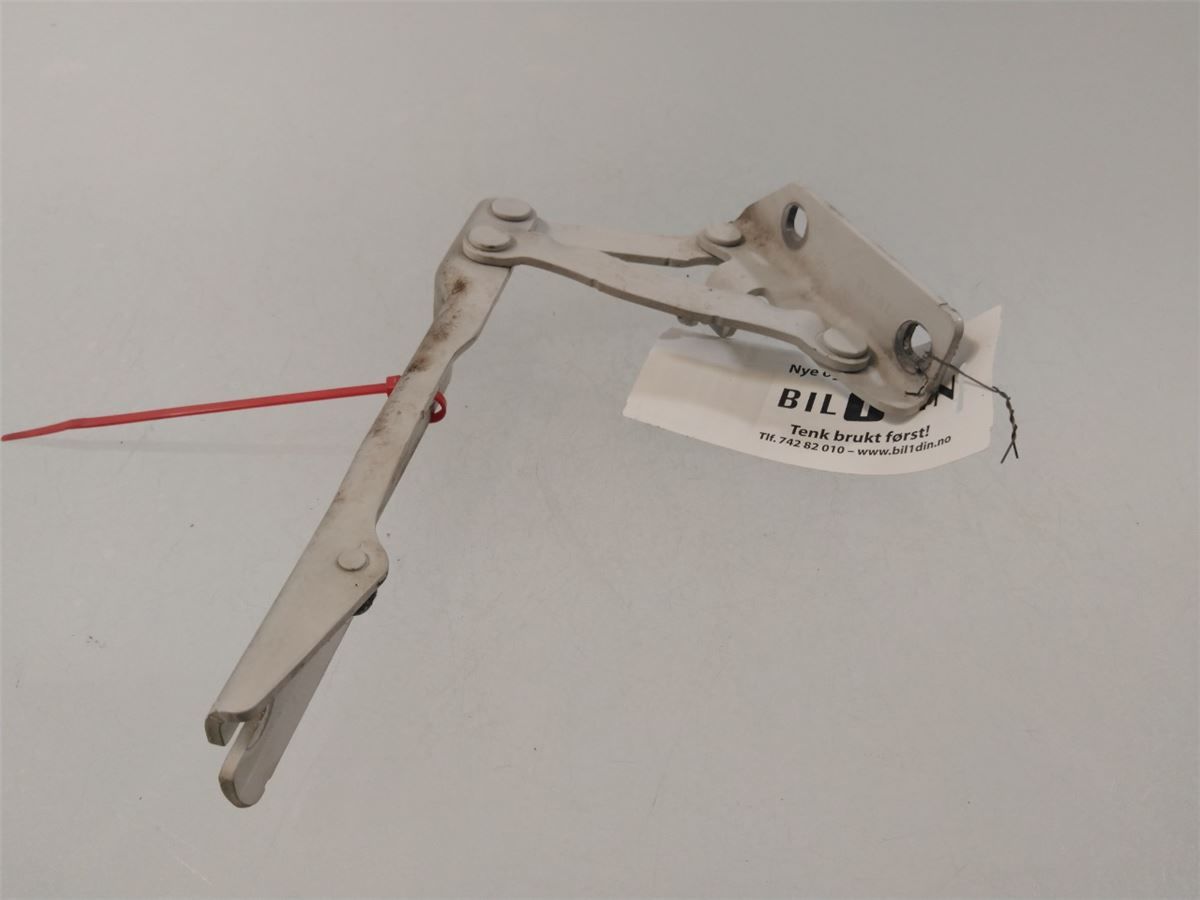Panser Hengsel / Hengsler – bilde 1