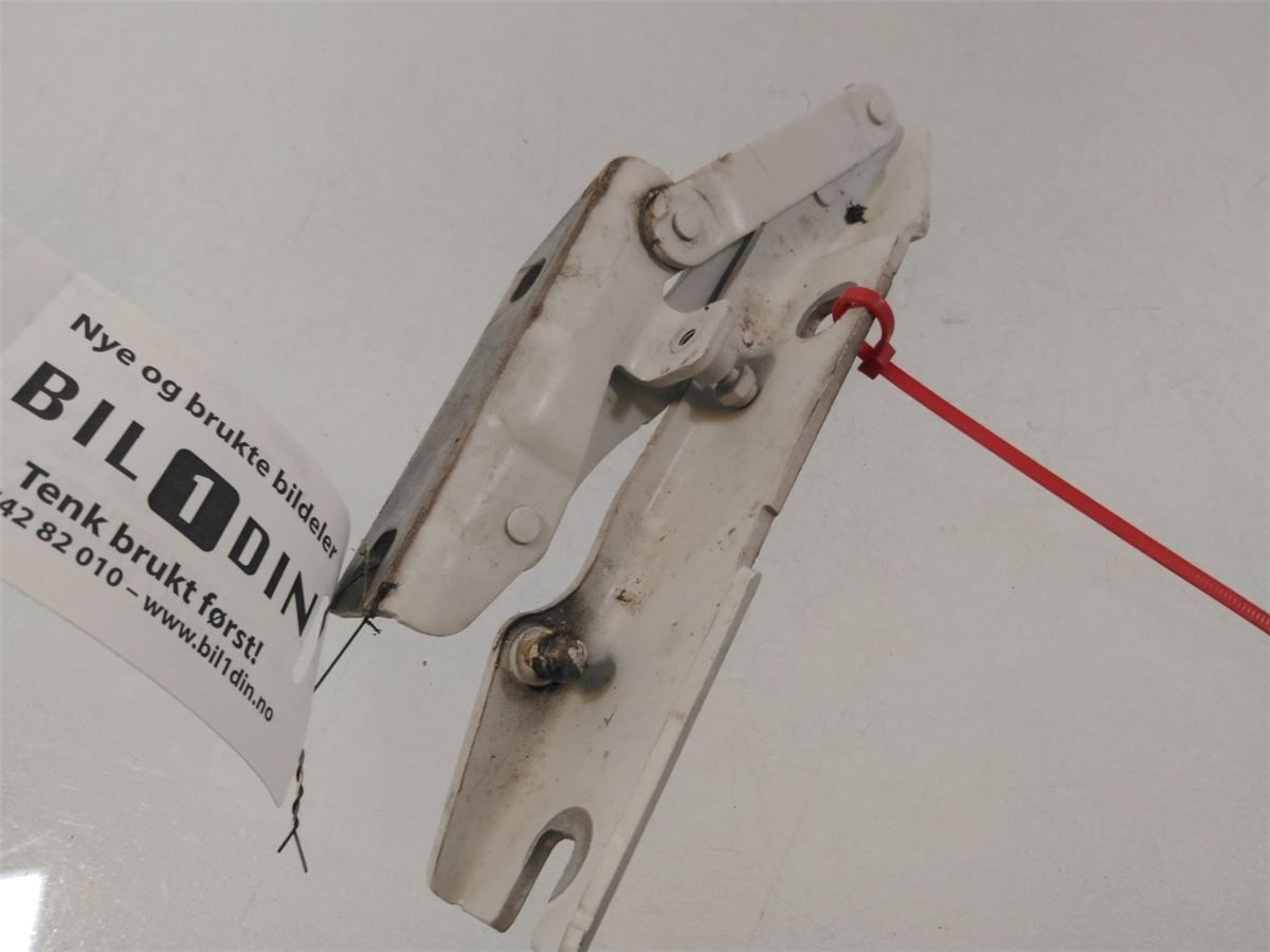Panser Hengsel / Hengsler – bilde 3