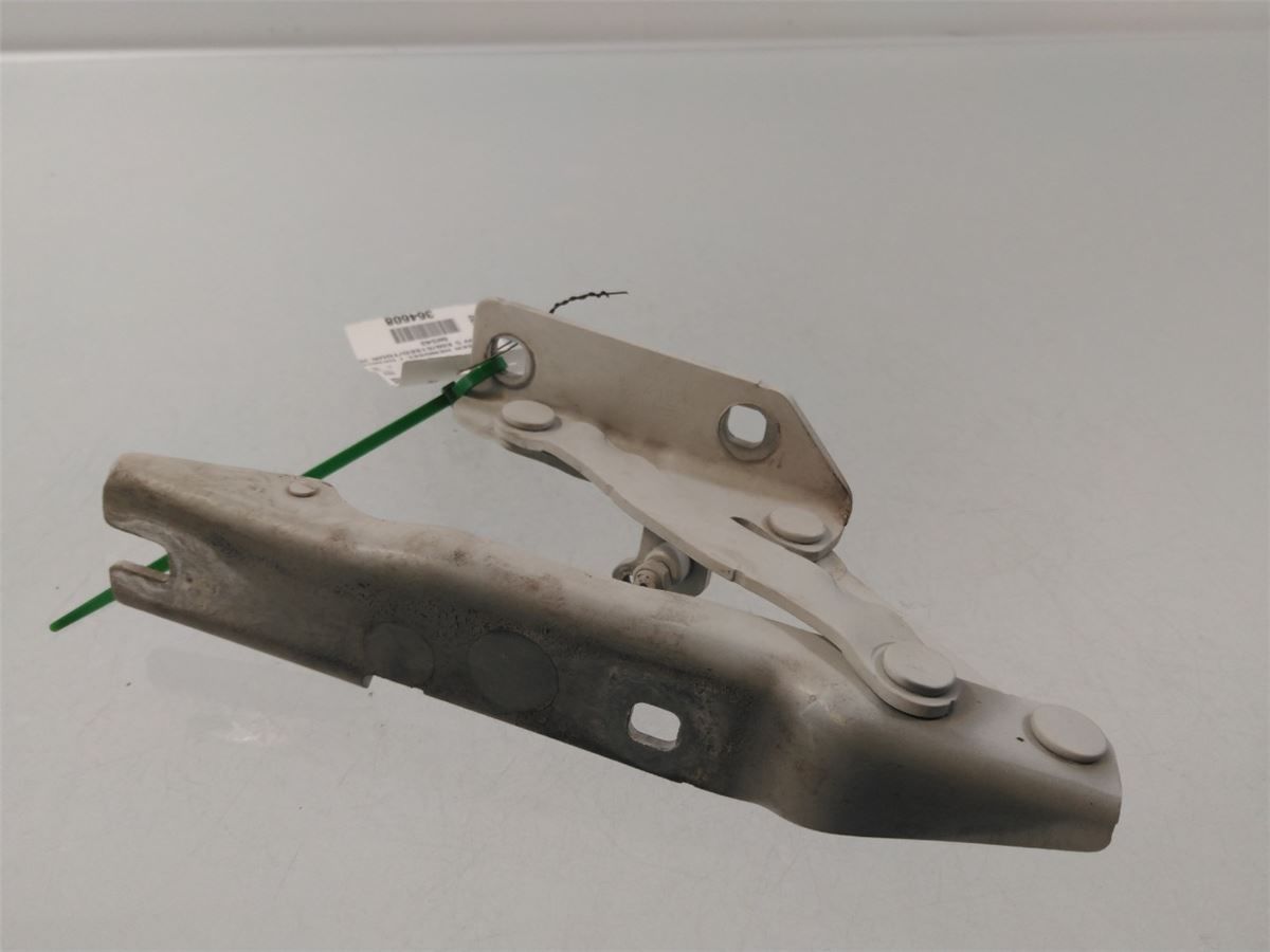 Panser Hengsel / Hengsler – bilde 1