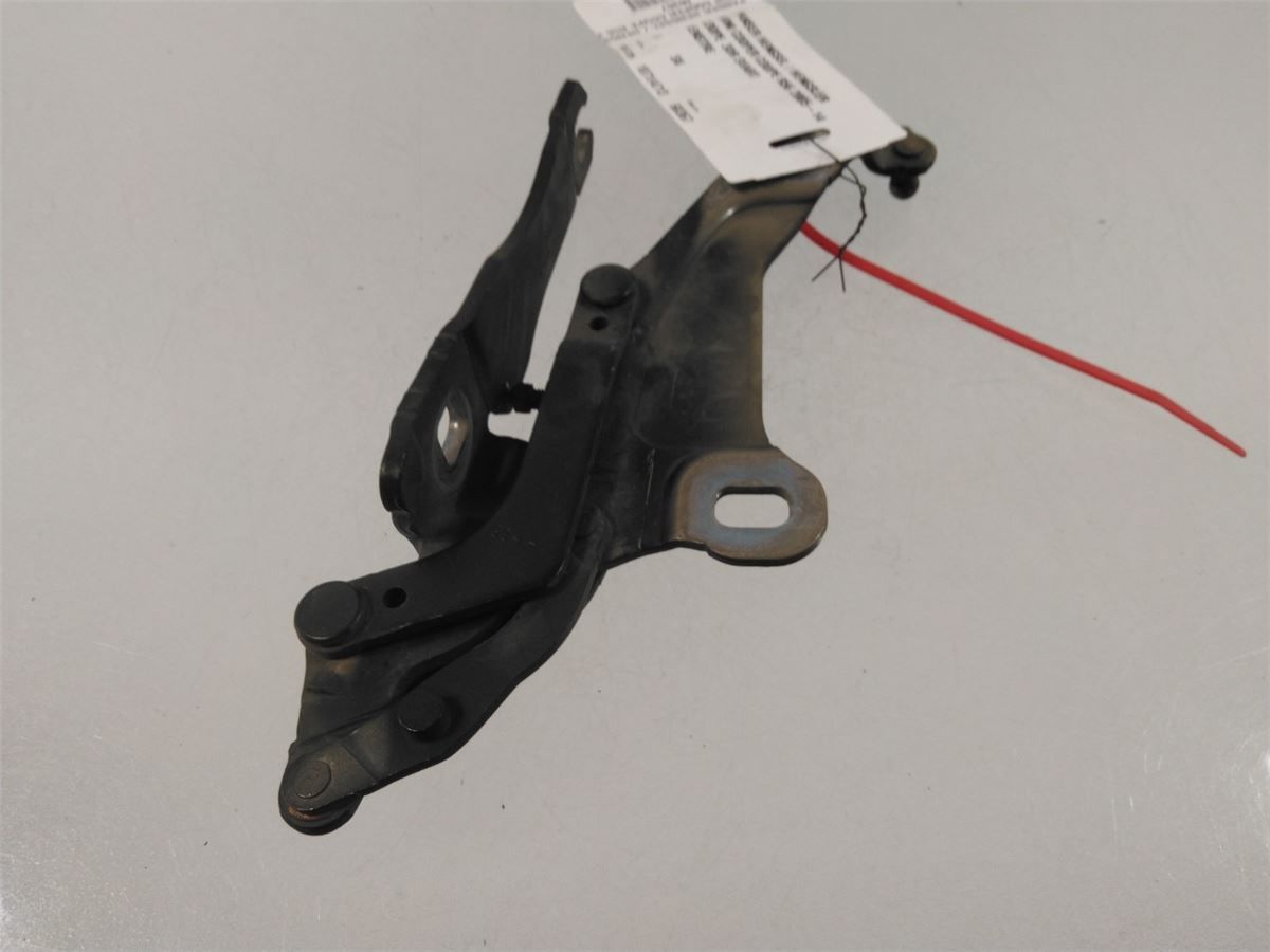 Panser Hengsel / Hengsler – bilde 1