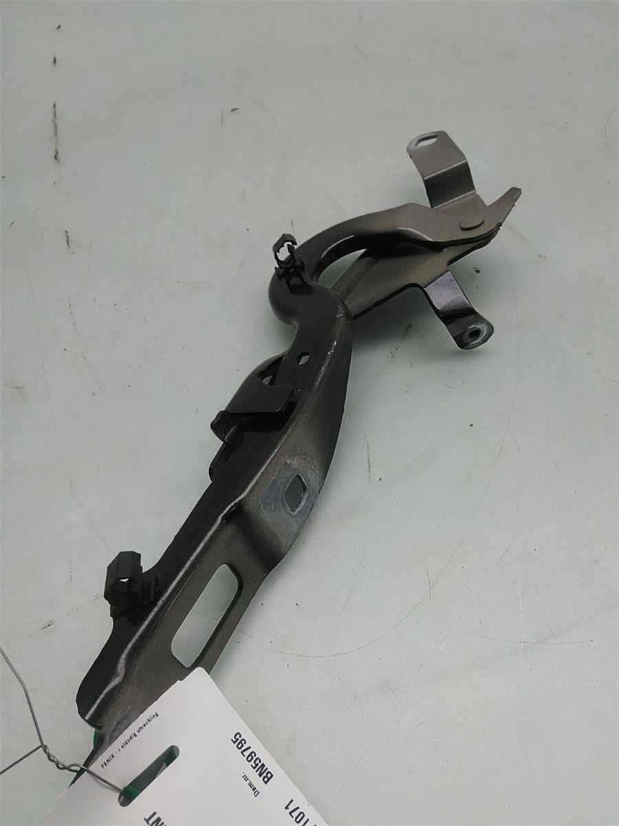 Panser Hengsel / Hengsler – bilde 1