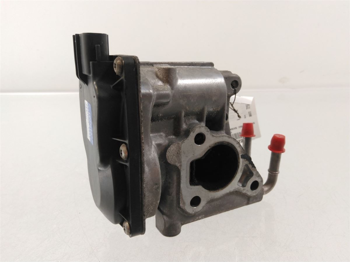 EGR Ventil – bilde 1