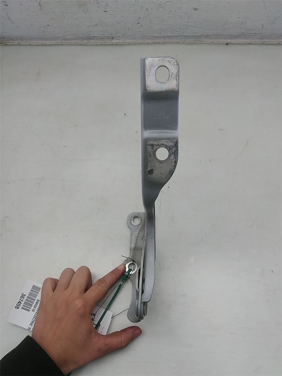 Panser Hengsel / Hengsler – bilde 2
