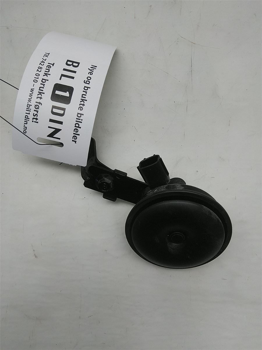 Signalhorn – bilde 1
