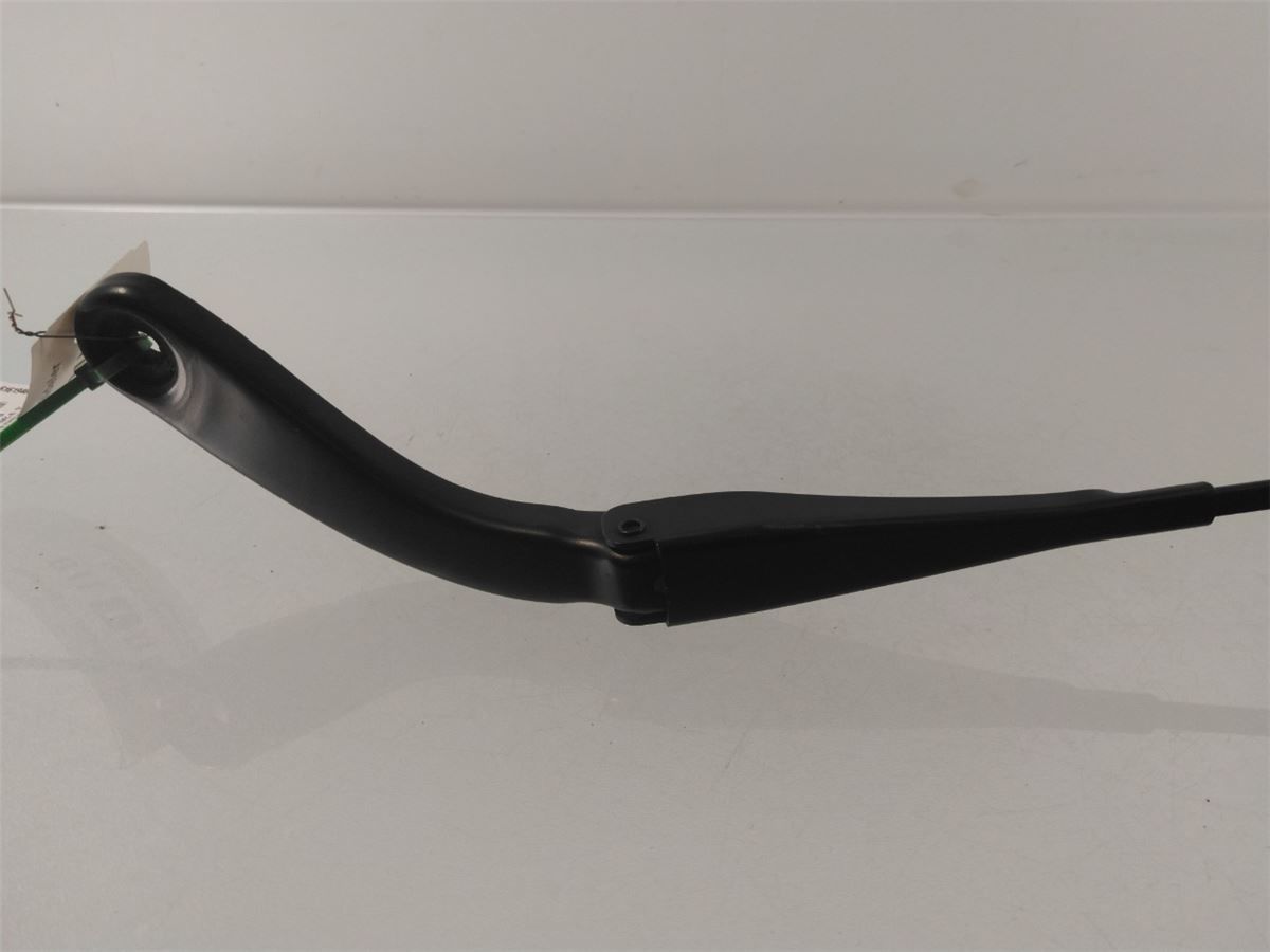 Viskerarm / Armer Frontrute – bilde 2