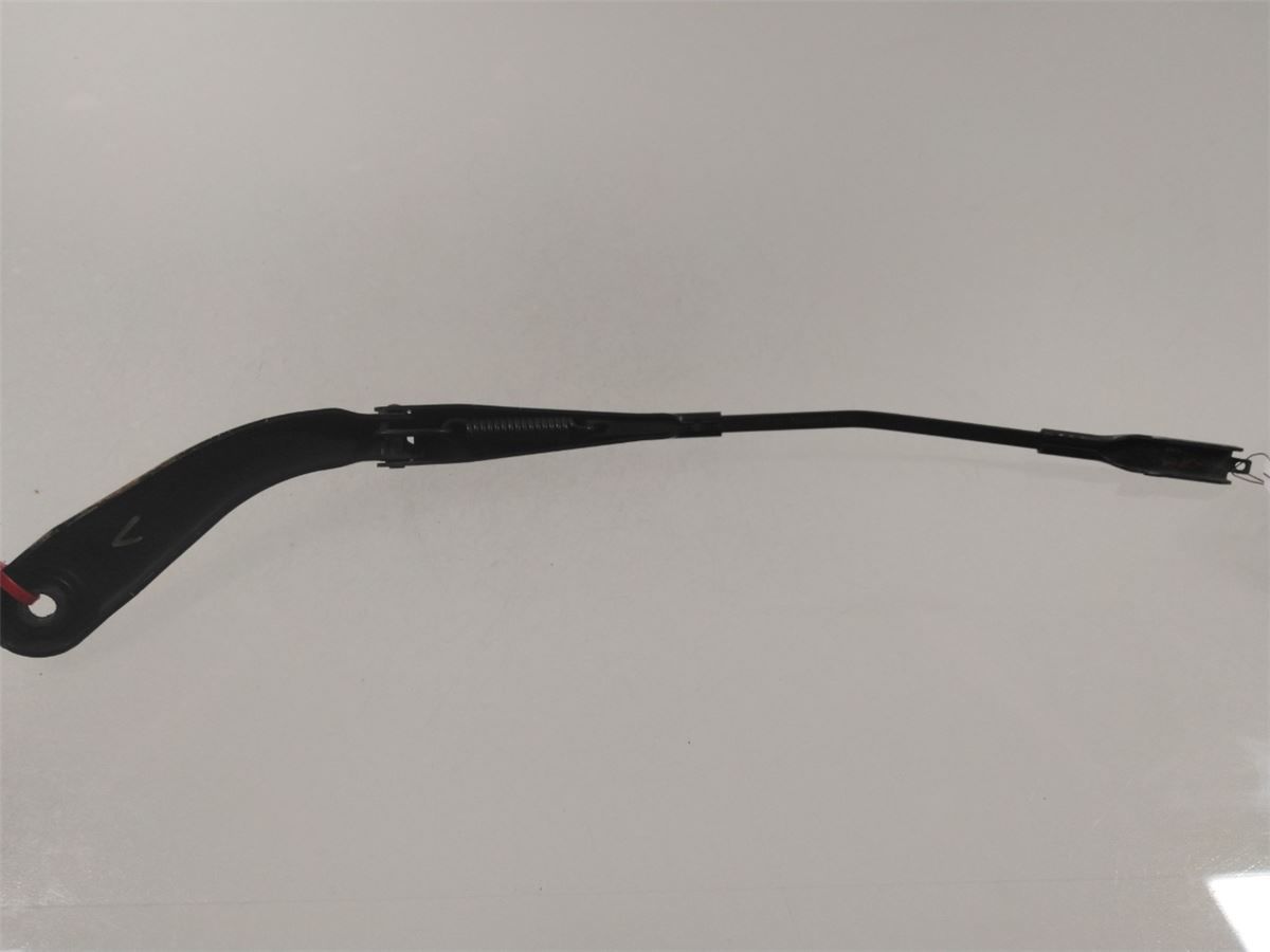 Viskerarm / Armer Frontrute – bilde 3