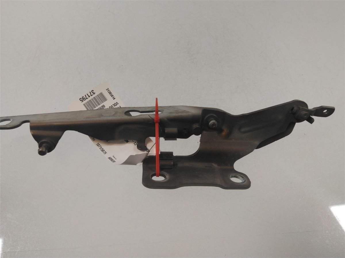 Panser Hengsel / Hengsler – bilde 1