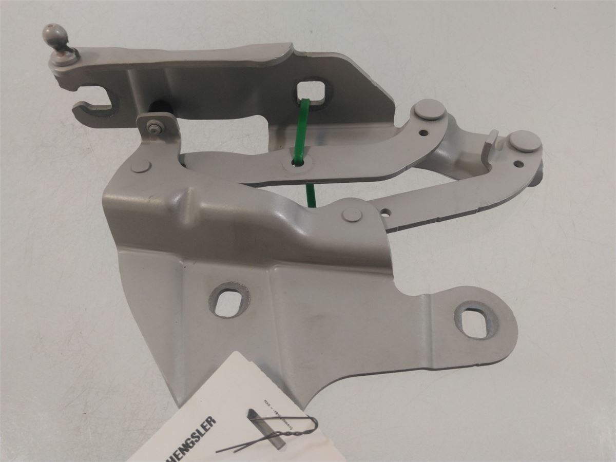 Panser Hengsel / Hengsler – bilde 1