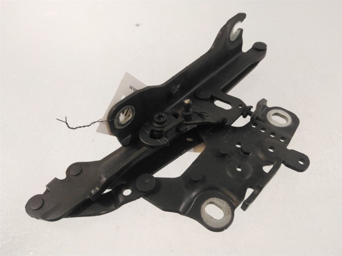Panser Hengsel / Hengsler – bilde 3