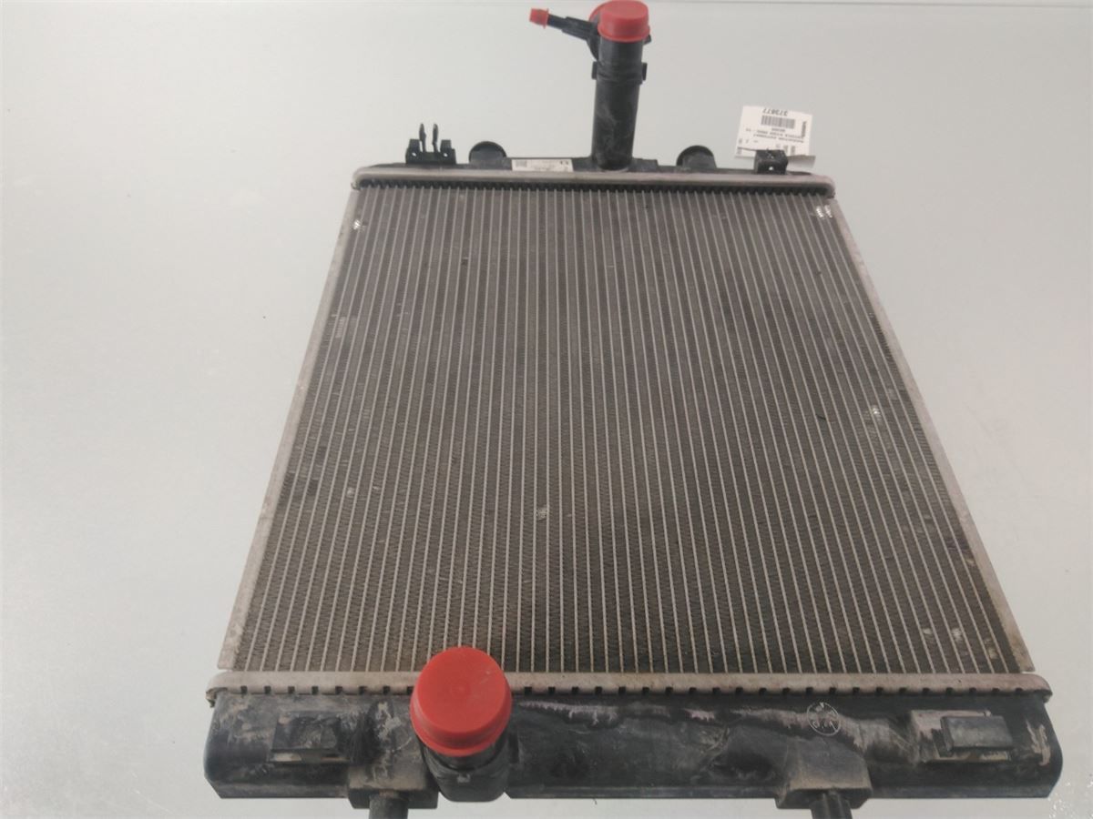 Radiator Automat – bilde 1