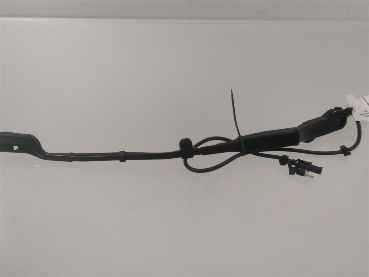 Viskerarm / Armer Frontrute – bilde 1