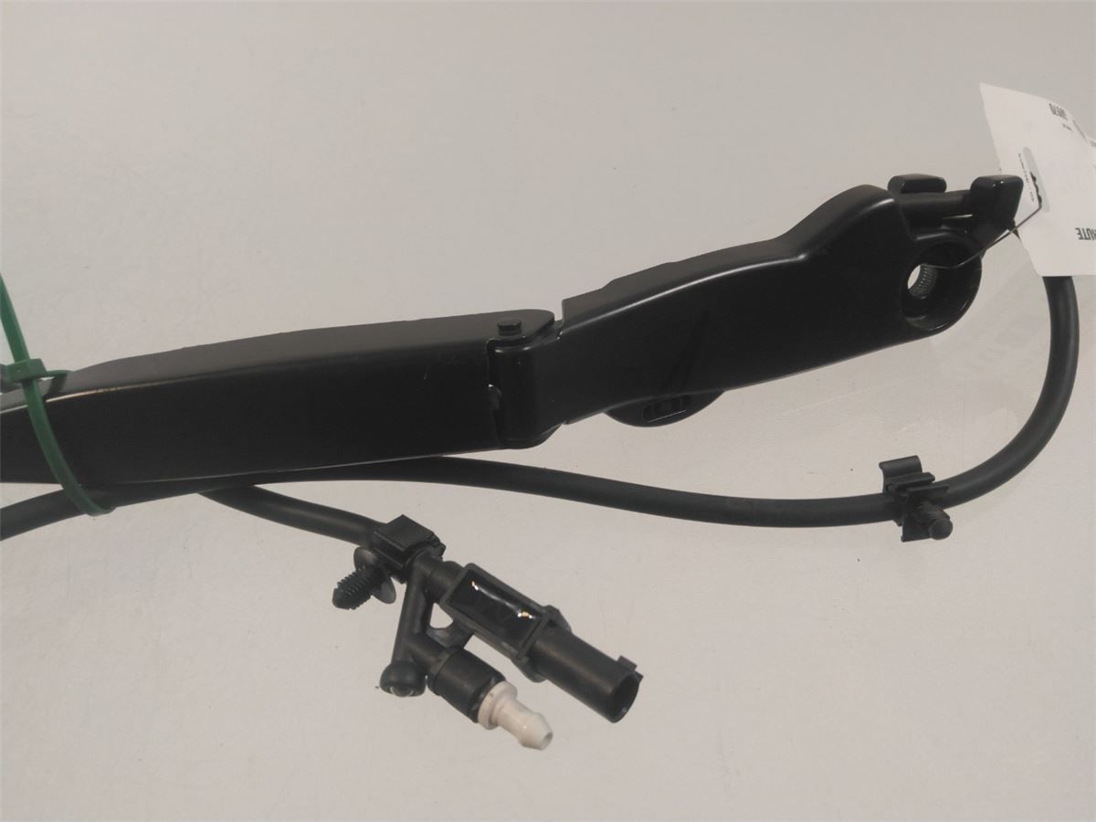 Viskerarm / Armer Frontrute – bilde 2