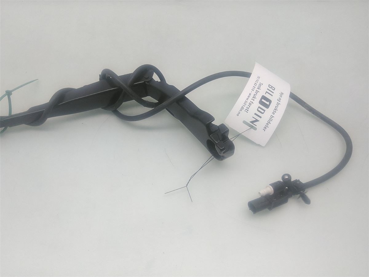 Viskerarm / Armer Frontrute – bilde 3
