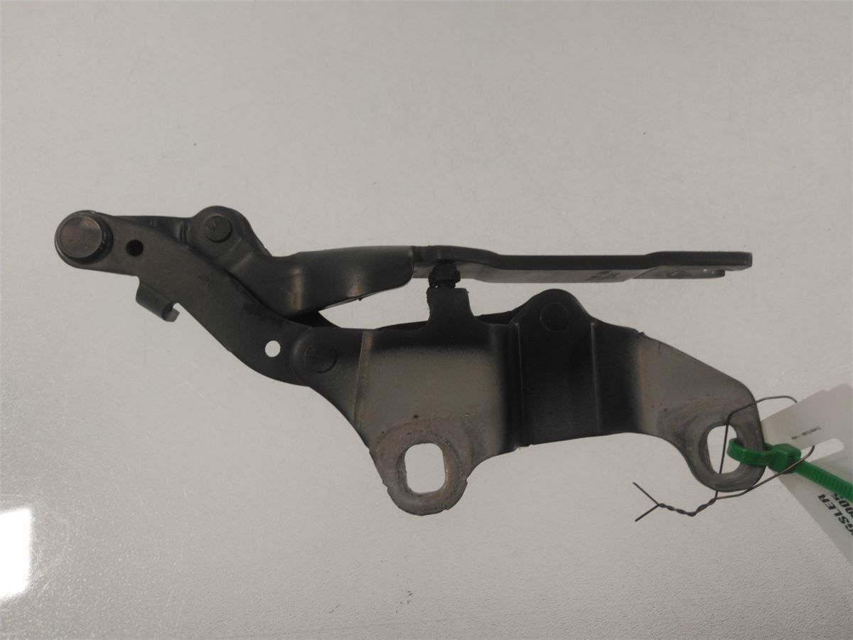 Panser Hengsel / Hengsler – bilde 2