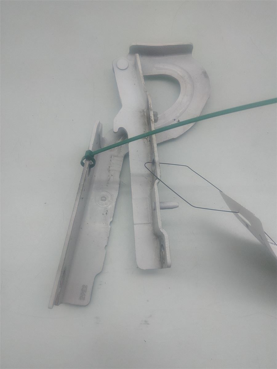 Panser Hengsel / Hengsler – bilde 1